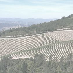 Billecart Salmon Cuvee Elisabeth Salmon 1995